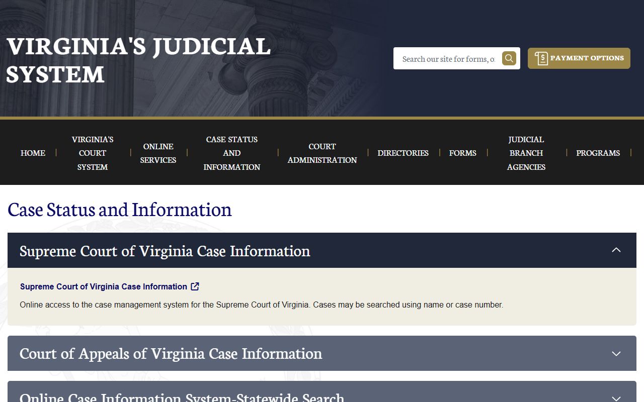 Chesapeake court dockets search through the Virginia Case Information hub